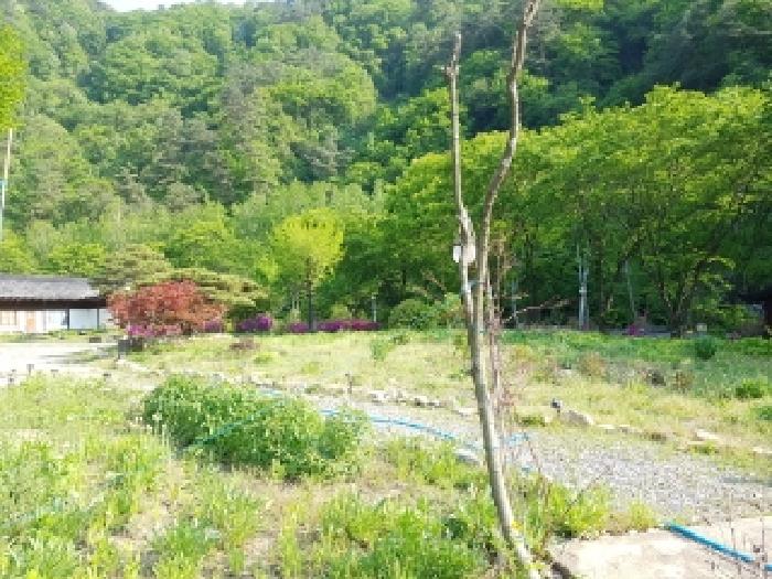 강원특별자치도 홍천군 화촌면 군업리 산151-1 외 9필지 숙박시설 경매 사진 21