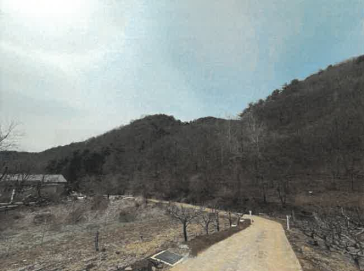 강원특별자치도 화천군 하남면 원천리 산38 외 4필지 임야 경매 사진 3