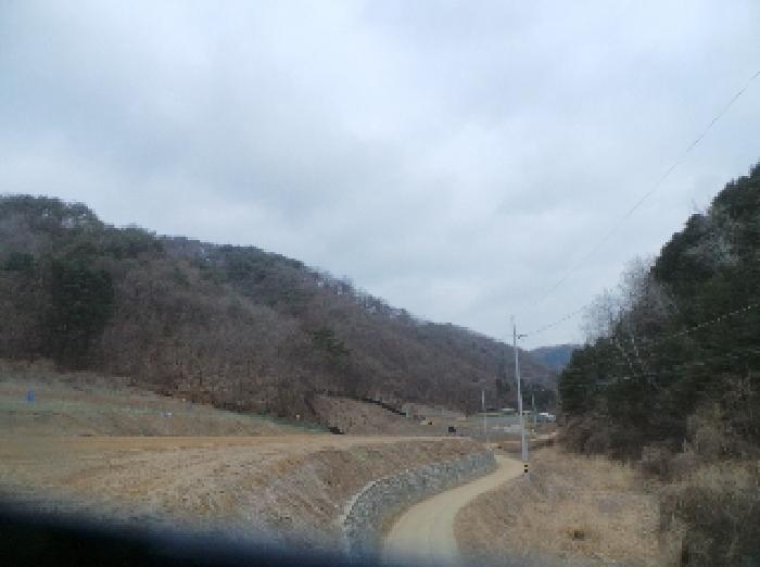 강원특별자치도 화천군 하남면 원천리 산38 외 4필지 임야 경매 사진 5