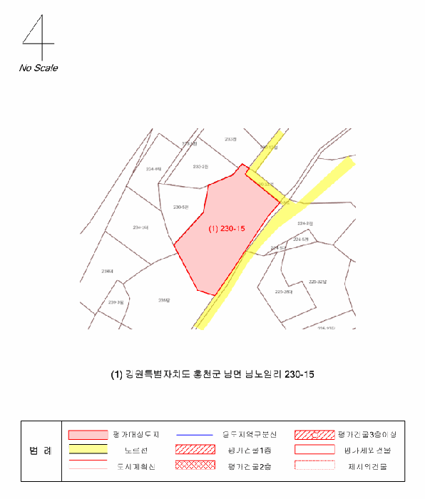 강원특별자치도 홍천군 남면 남노일리 230-15 전 경매 사진 22