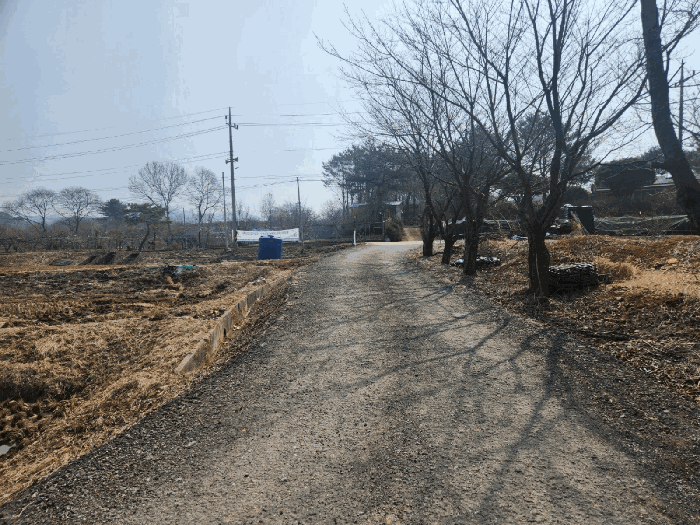 강원특별자치도 홍천군 남면 남노일리 230-15 전 경매 사진 17