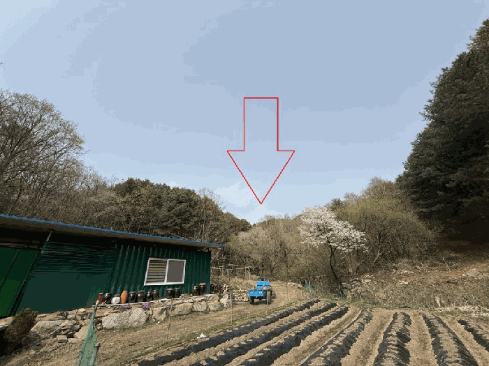 강원특별자치도 춘천시 남면 추곡리 1 외 18필지 임야 경매 사진 25