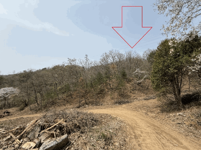 강원특별자치도 춘천시 남면 추곡리 1 외 18필지 임야 경매 사진 31