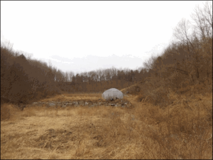 강원특별자치도 강릉시 사천면 방동리 산219-2 임야 경매 사진 17