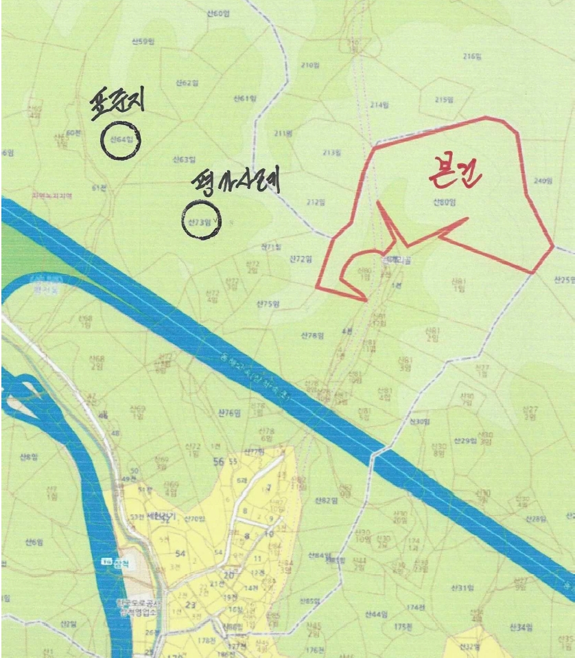 강원특별자치도 삼척시 평전동 산80 임야 경매 사진 23
