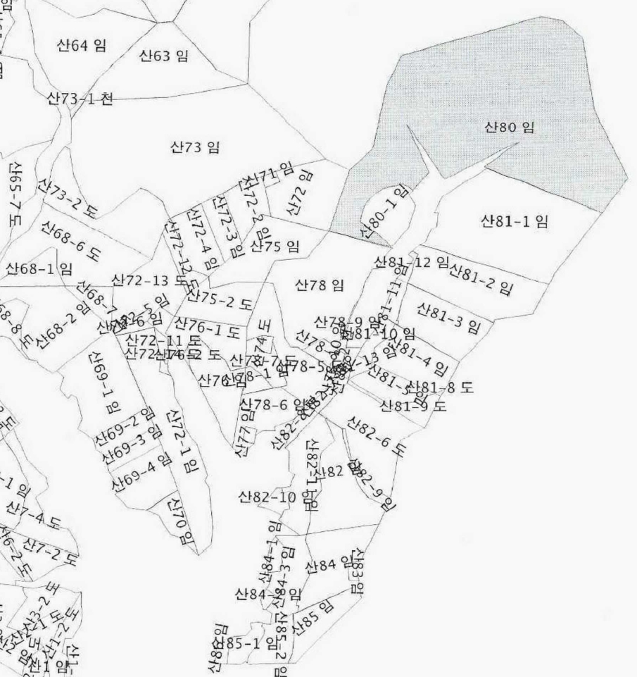 강원특별자치도 삼척시 평전동 산80 임야 경매 사진 24