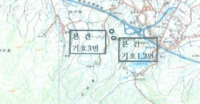 강원특별자치도 강릉시 구정면 어단리 944-44 외 1필지 임야 경매 사진 10
