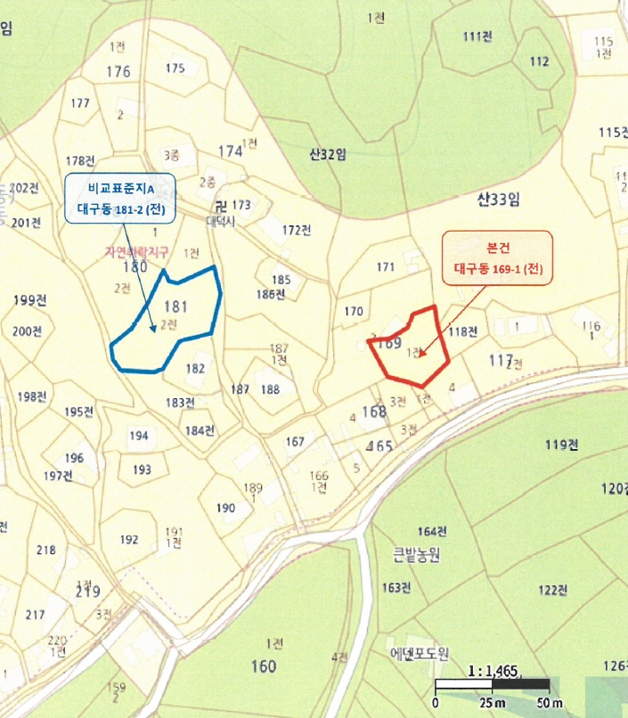 강원특별자치도 동해시 대구동 169-1 전 경매 사진 23