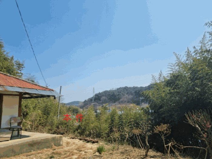 강원특별자치도 동해시 대구동 169-1 전 경매 사진 21