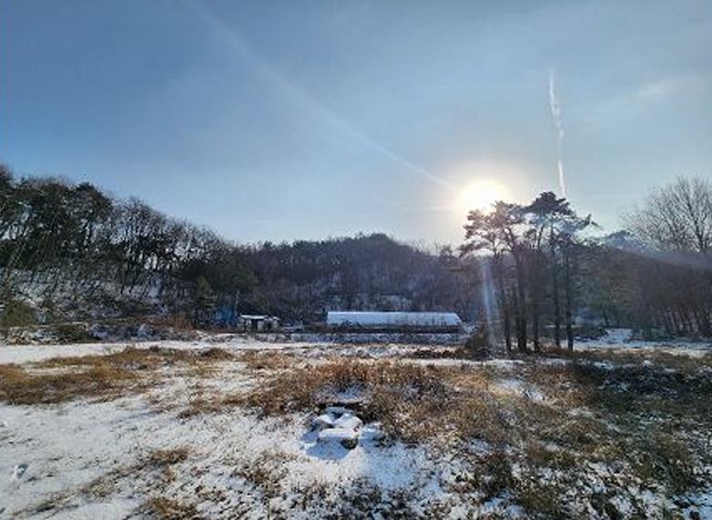 강원특별자치도 원주시 소초면 학곡리 572 외 12필지 전 경매 사진 3