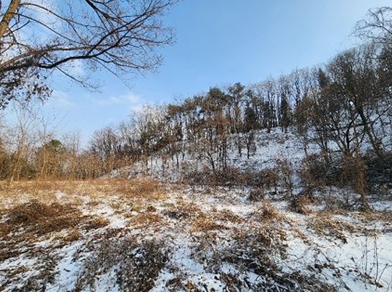 강원특별자치도 원주시 소초면 학곡리 572 외 12필지 전 경매 사진 6