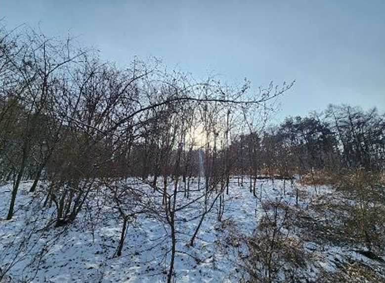 강원특별자치도 원주시 소초면 학곡리 572 외 12필지 전 경매 사진 7