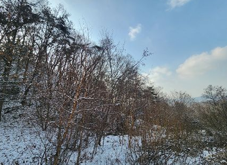 강원특별자치도 원주시 소초면 학곡리 572 외 12필지 전 경매 사진 9