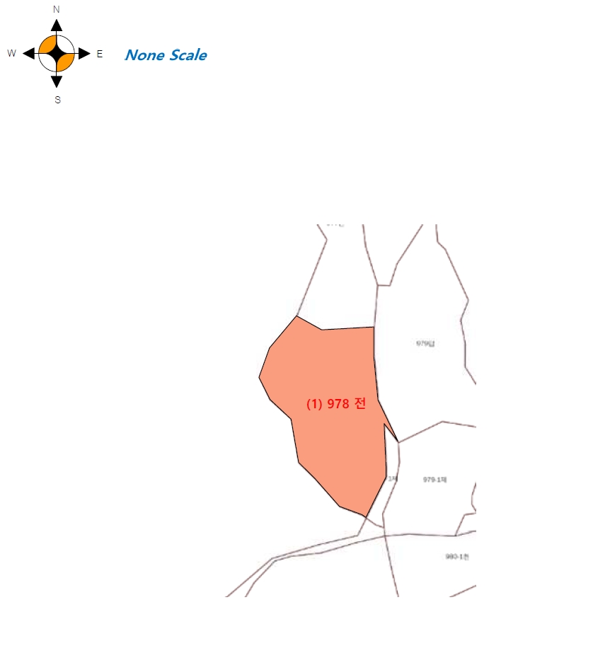 강원특별자치도 원주시 호저면 대덕리 978 전 경매 사진 5