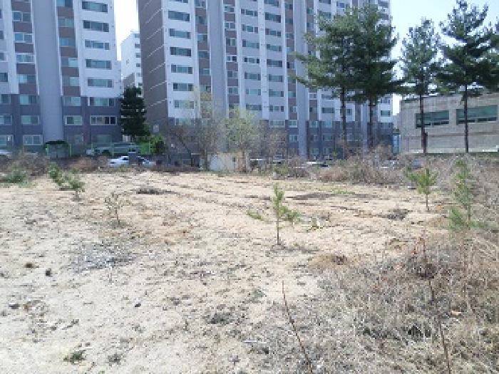 강원특별자치도 원주시 행구동 산178-24 임야 경매 사진 11