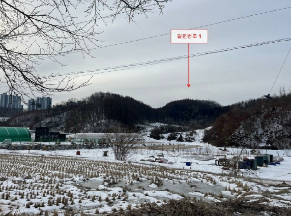 강원특별자치도 원주시 지정면 월송리 453 답 경매 사진 8