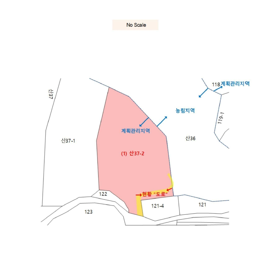 강원특별자치도 양양군 현남면 정자리 산37-2 임야 경매 사진 11