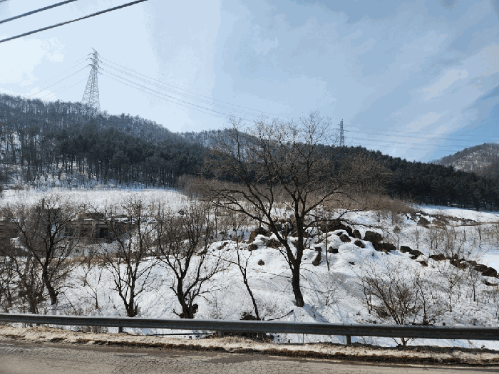 강원특별자치도 태백시 통동 325-3 전 경매 사진 3