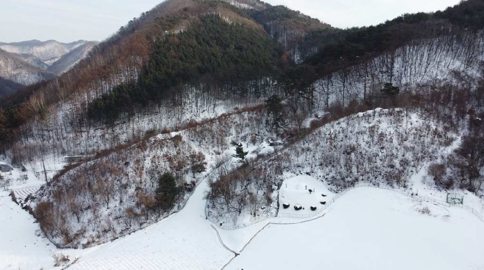 강원특별자치도 영월군 북면 마차리 산18 임야 경매 사진 5