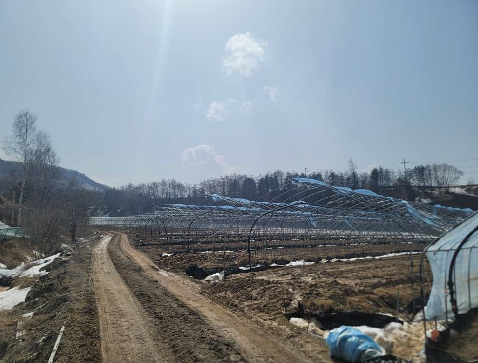 강원특별자치도 평창군 대관령면 횡계리 71 전 경매 사진 1