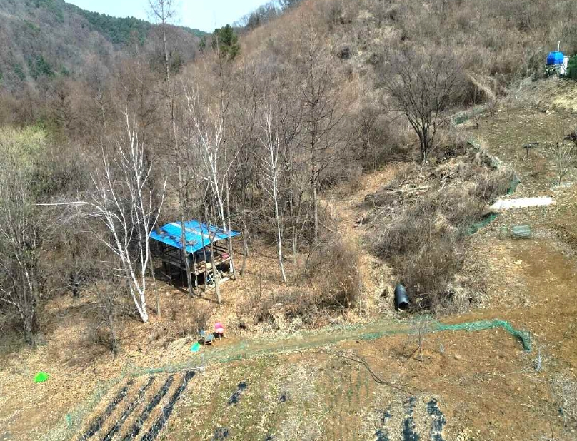 강원특별자치도 평창군 평창읍 향동리 99 전 경매 사진 17