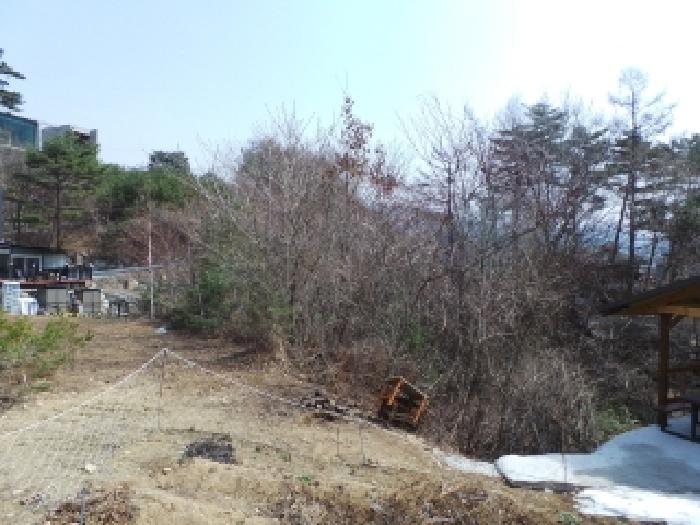 강원특별자치도 평창군 봉평면 무이리 1086-3 외 42필지 임야 경매 사진 11