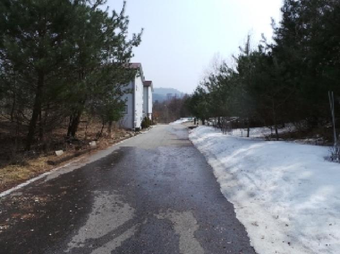 강원특별자치도 평창군 봉평면 무이리 1086-3 외 42필지 임야 경매 사진 10