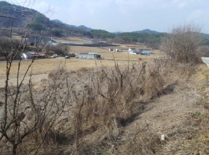 강원특별자치도 영월군 주천면 신일리 산411 임야 경매 사진 7