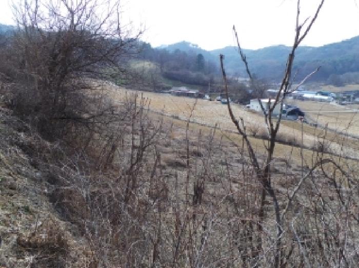 강원특별자치도 영월군 주천면 신일리 산411 임야 경매 사진 8
