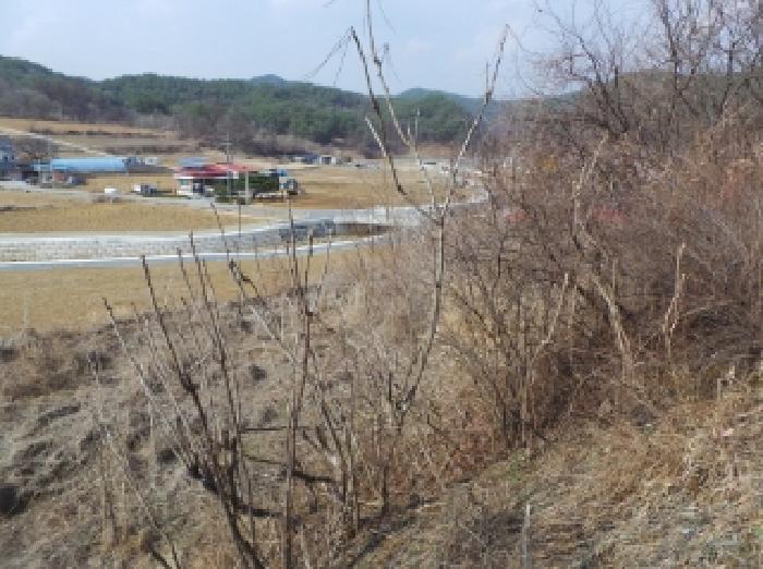 강원특별자치도 영월군 주천면 신일리 산411 임야 경매 사진 9