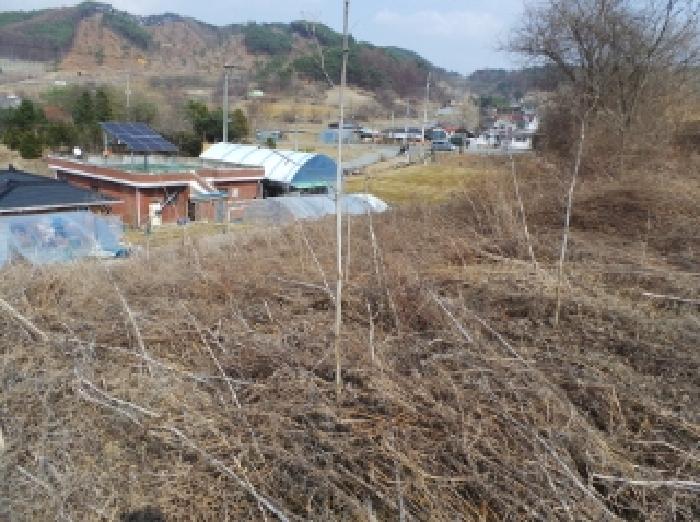 강원특별자치도 영월군 주천면 신일리 산411 임야 경매 사진 10