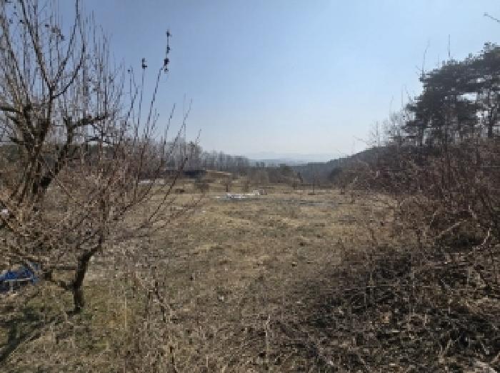 충청북도 청주시 상당구 남일면 가산리 372-1 외 2필지 전 경매 사진 1