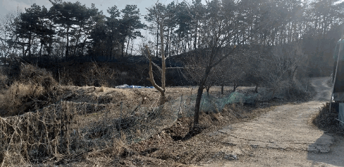 충청북도 청주시 상당구 남일면 가산리 372-1 외 2필지 전 경매 사진 5