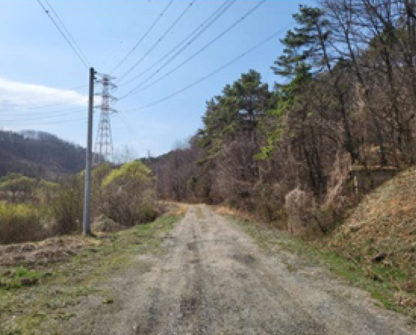 충청북도 청주시 흥덕구 옥산면 사정리 26-1 외 6필지 임야 경매 사진 14