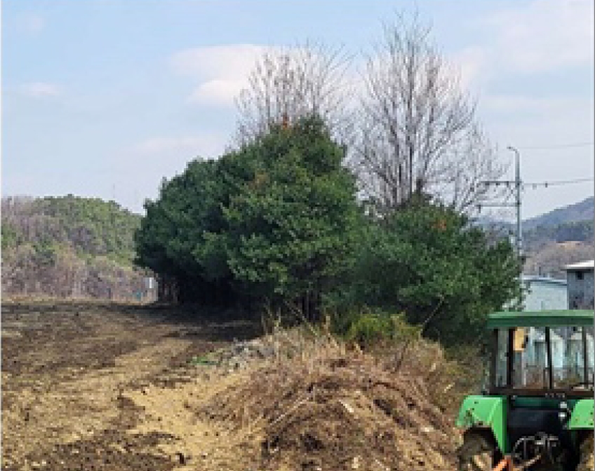 충청북도 청주시 흥덕구 옥산면 사정리 26-1 외 6필지 임야 경매 사진 17