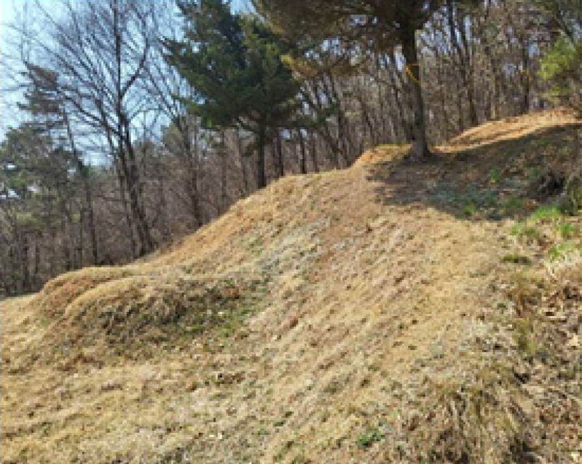충청북도 청주시 흥덕구 옥산면 사정리 26-1 외 6필지 임야 경매 사진 20