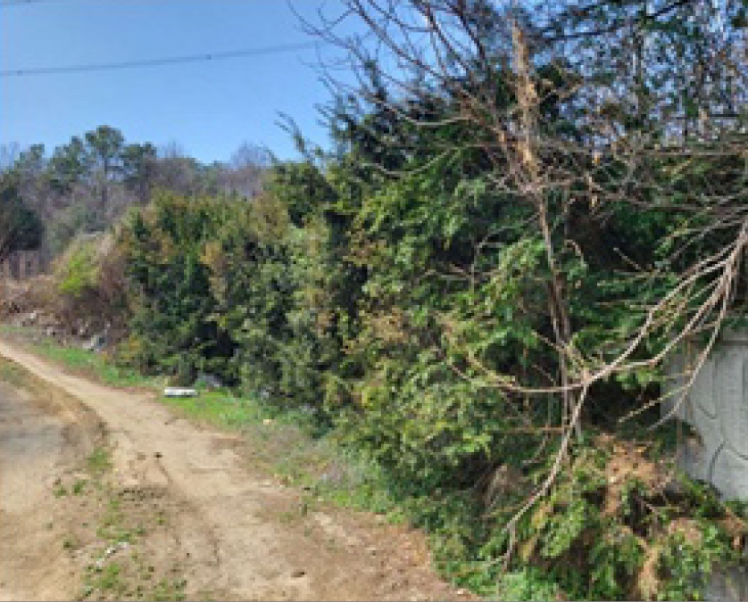 충청북도 청주시 흥덕구 옥산면 사정리 26-1 외 6필지 임야 경매 사진 21