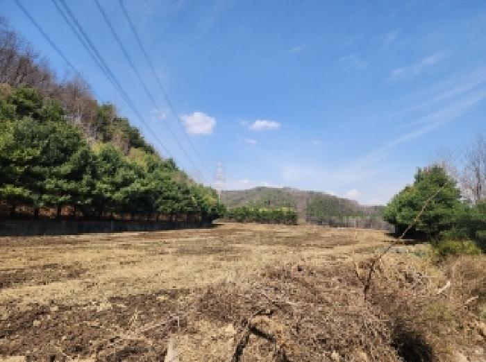 충청북도 청주시 흥덕구 옥산면 사정리 26-1 외 6필지 임야 경매 사진 23