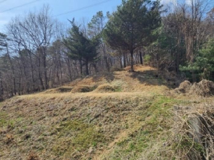 충청북도 청주시 흥덕구 옥산면 사정리 26-1 외 6필지 임야 경매 사진 26