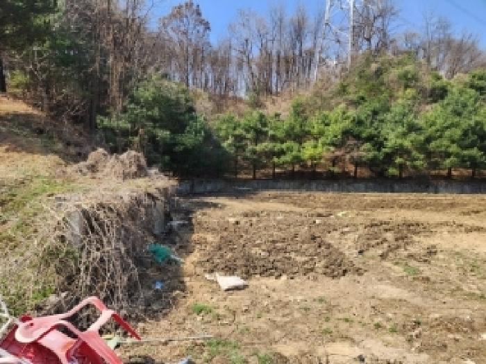 충청북도 청주시 흥덕구 옥산면 사정리 26-1 외 6필지 임야 경매 사진 27