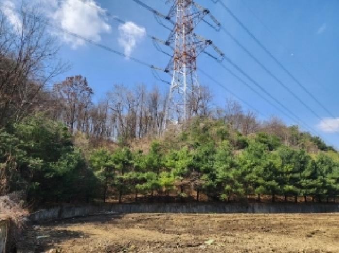 충청북도 청주시 흥덕구 옥산면 사정리 26-1 외 6필지 임야 경매 사진 28