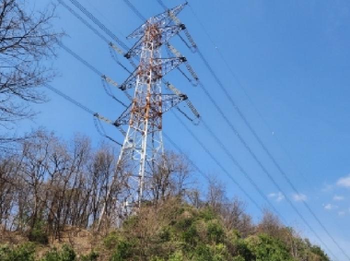 충청북도 청주시 흥덕구 옥산면 사정리 26-1 외 6필지 임야 경매 사진 29