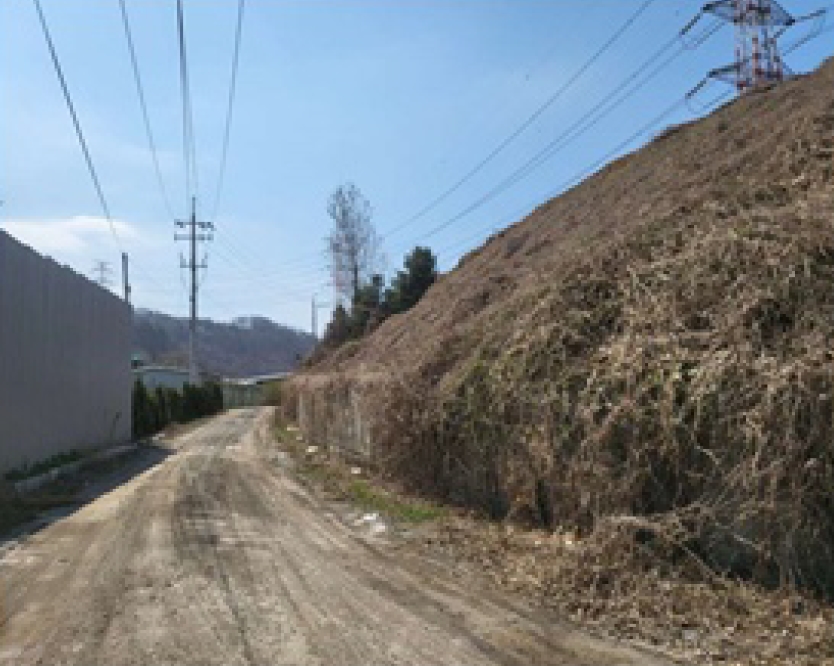 충청북도 청주시 흥덕구 옥산면 사정리 26-1 외 6필지 임야 경매 사진 4