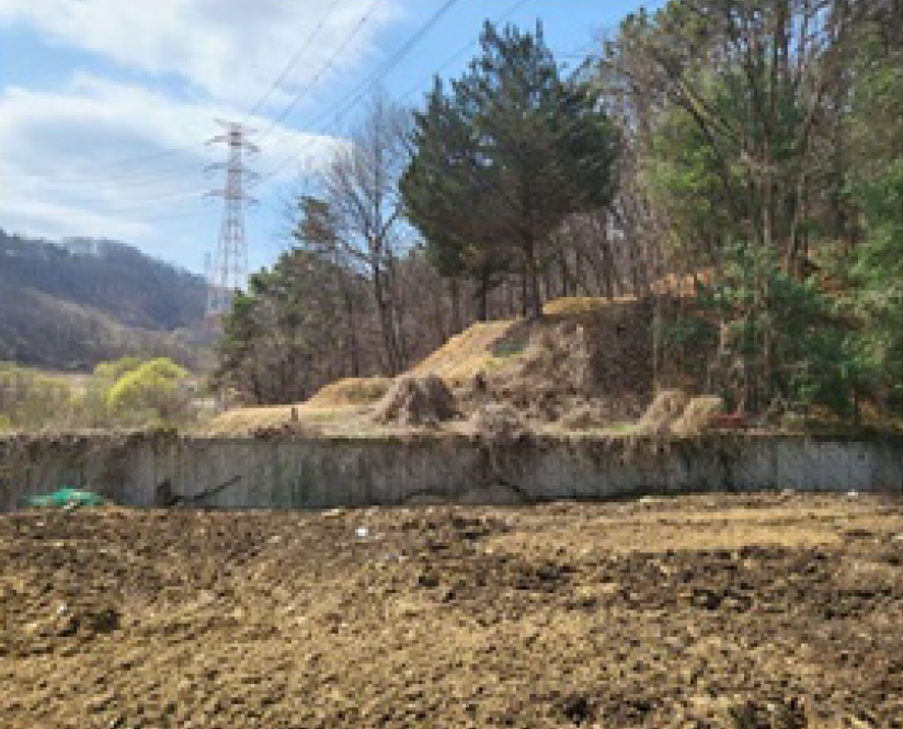 충청북도 청주시 흥덕구 옥산면 사정리 26-1 외 6필지 임야 경매 사진 6
