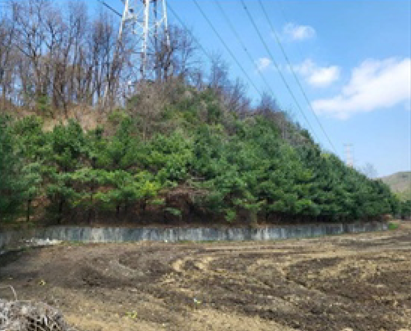 충청북도 청주시 흥덕구 옥산면 사정리 26-1 외 6필지 임야 경매 사진 7