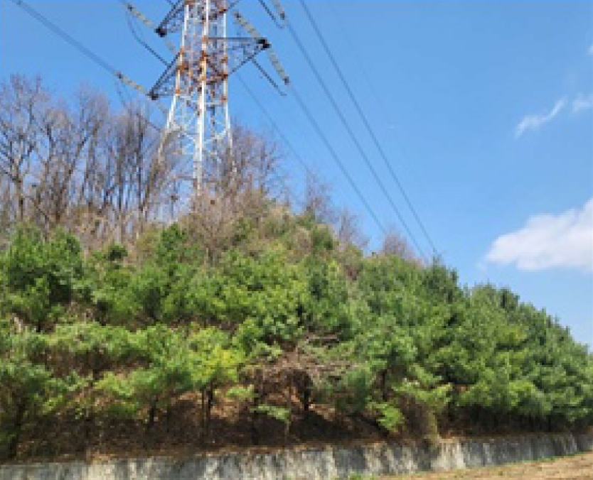 충청북도 청주시 흥덕구 옥산면 사정리 26-1 외 6필지 임야 경매 사진 9