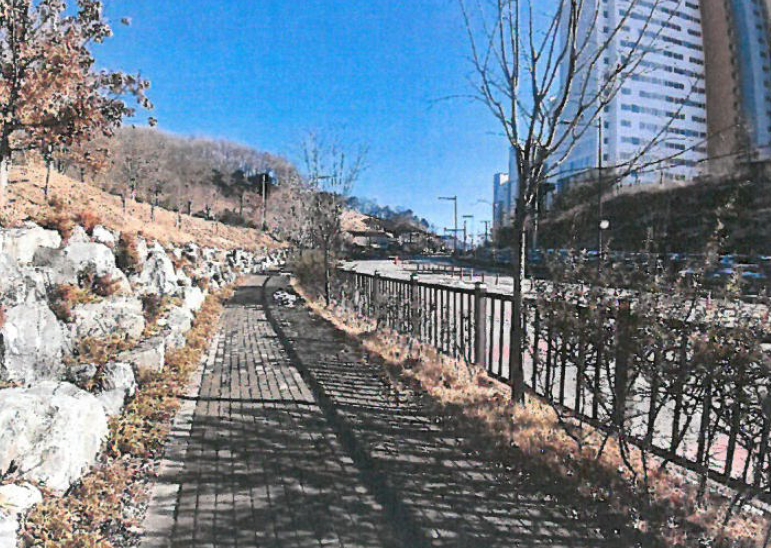충청북도 청주시 상당구 용정동 산43-7 외 9필지 임야 경매 사진 11