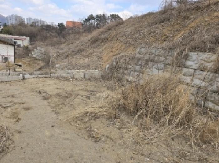 충청북도 청주시 상당구 용정동 산43-7 외 9필지 임야 경매 사진 12