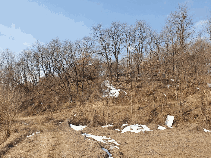 충청북도 음성군 삼성면 상곡리 산50-1 임야 경매 사진 24