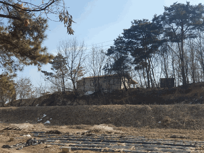 충청북도 음성군 삼성면 상곡리 산50-1 임야 경매 사진 34